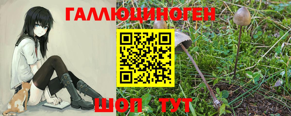 Псилоцибиновые грибы Magic Shrooms  Вход с VPN  Лесозаводск 